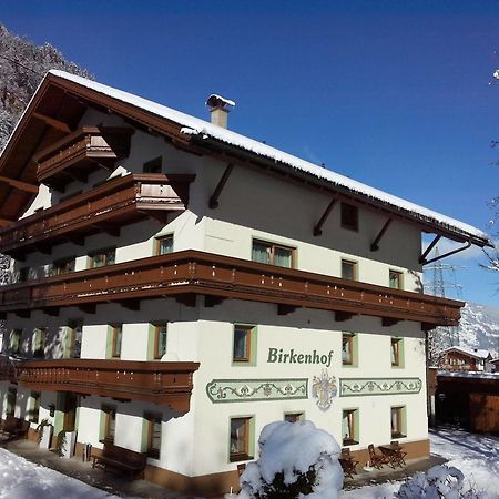 Pension Birkenhof Mayrhofen Extérieur photo
