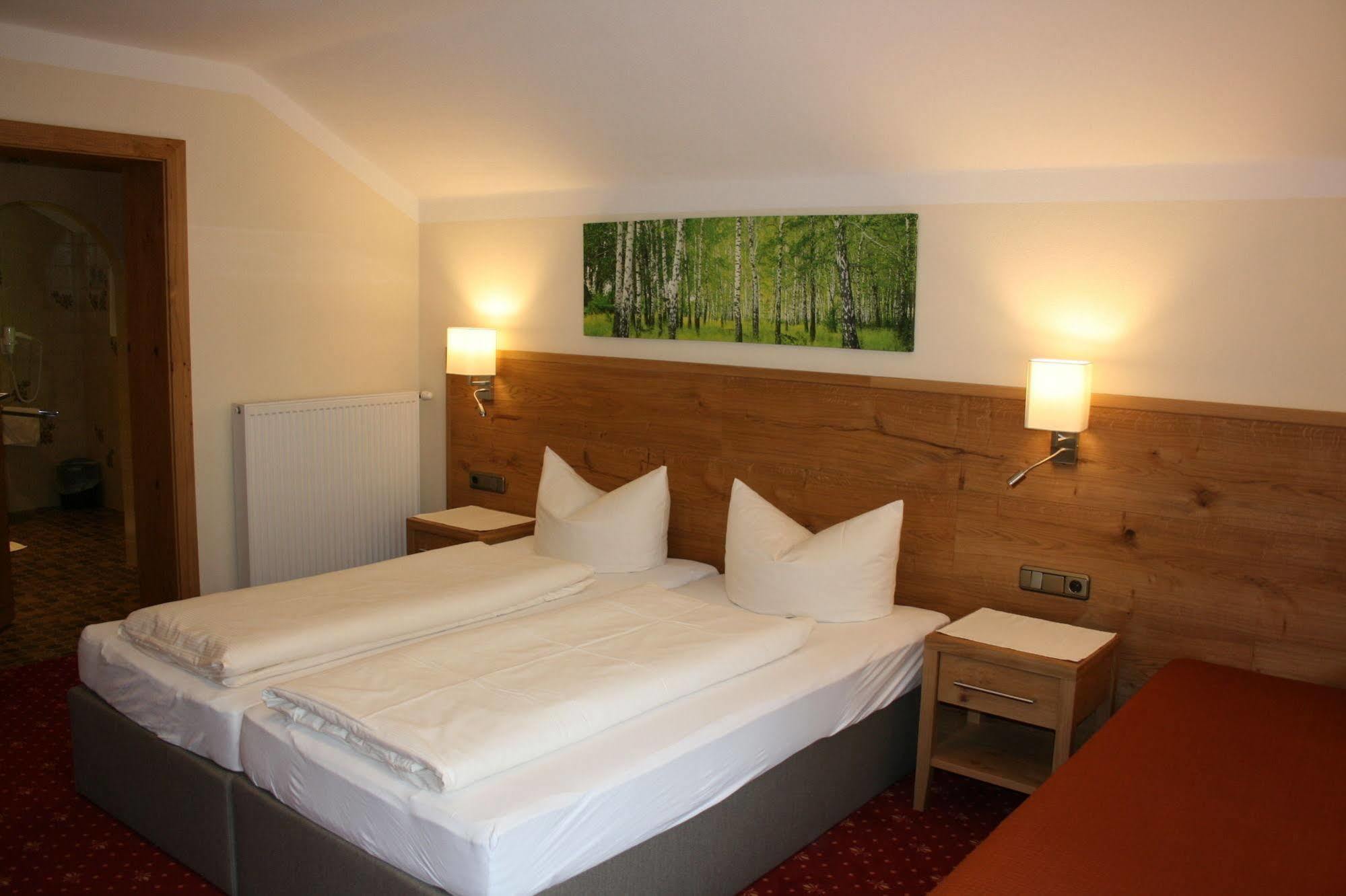 Pension Birkenhof Mayrhofen Extérieur photo